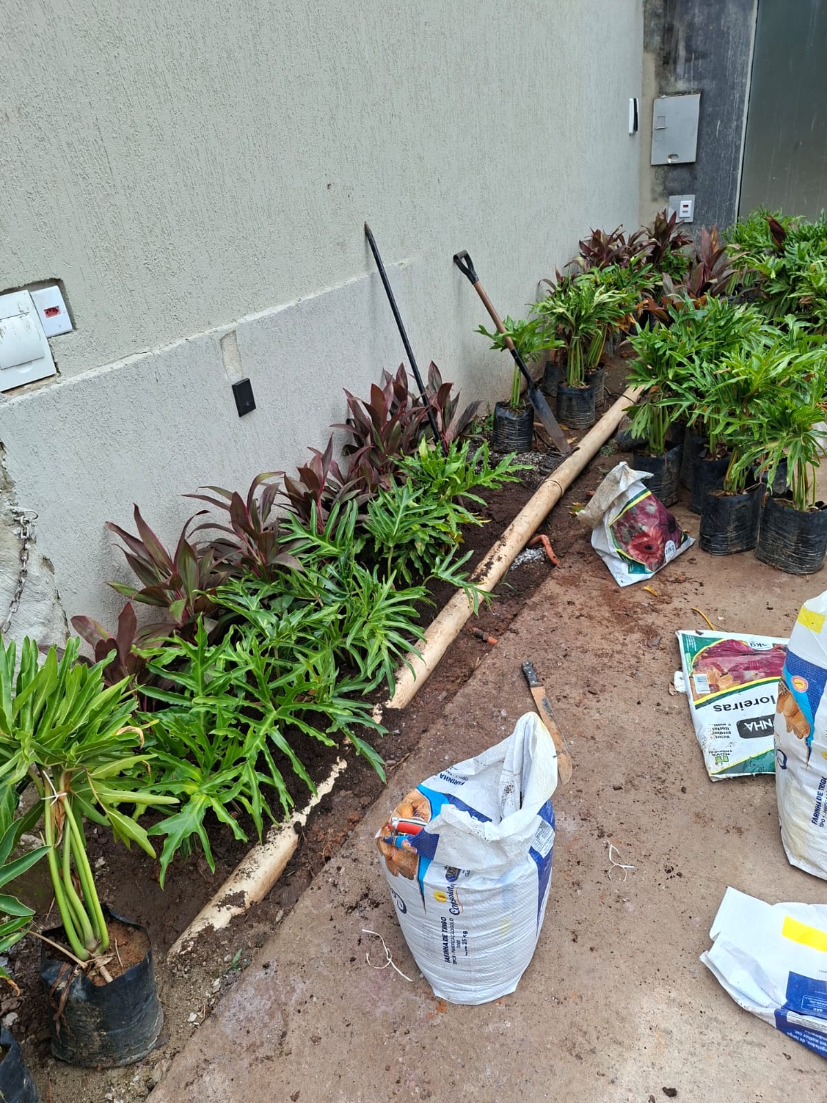 Manutenção Periódica BiosferaGreen