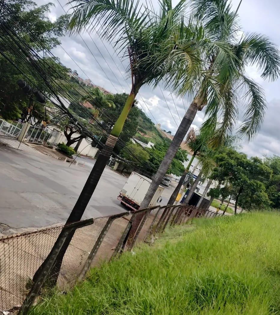 Área com gramado antes da recuperação