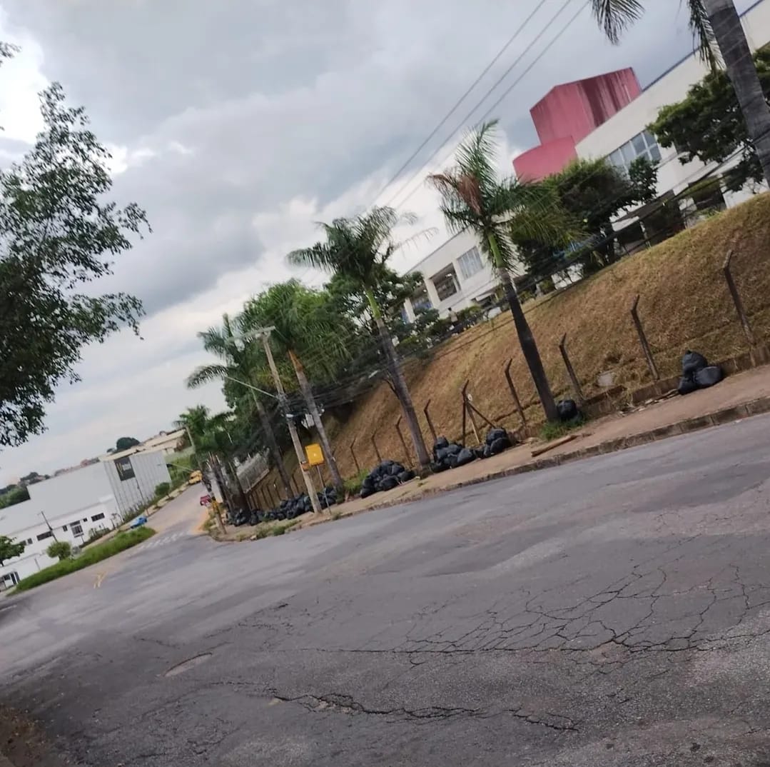Área com gramado recuperado após o serviço